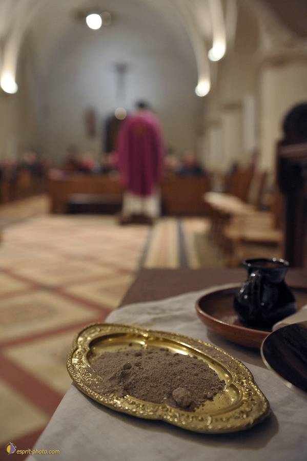 Nom de l'image : D30045814_1_(c)Norbert-JUNG — Description :